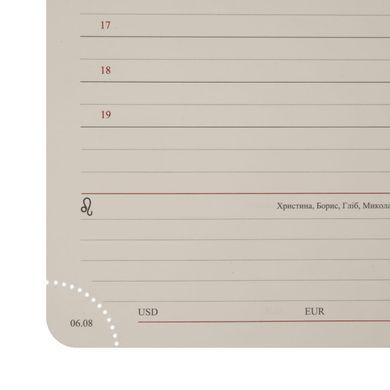 Ежедневник 2026 А5 Leo Planner Aldento мягкий 25267*, Коричневый темный