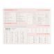 Ежедневник 2027 А6 Leo Planner Prime мягкий PR25273*, Оливковый
