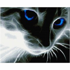 Алмазная живопись мозаика по номерам на холсте 40*50см Никитошка GJ533 Голубоглазый кот