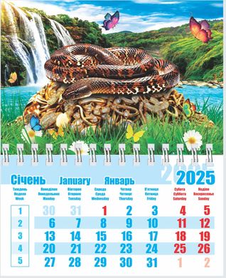Календарь настенный 2025 Контраст 13*9см с магнитом