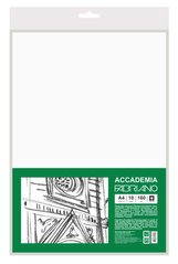 Бумага-склейка для рисования Fabriano А4 (21*29,7 см) 10л. 160г/м2 Accademia мелкое зерно 169221001