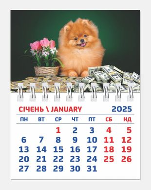 Календар настінний 2025 Контраст 9*6см з магнітом Міні