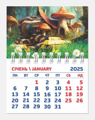 Календарь настенный 2025 Контраст 9*6см с магнитом Мини (ассорти)
