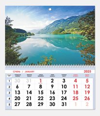 Календар настінний 2025 Контраст односекційний (асорті)