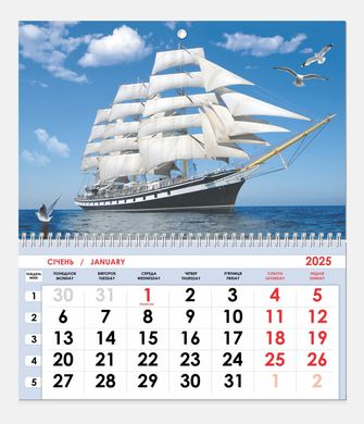 Календар настінний 2025 Контраст односекційний (асорті)