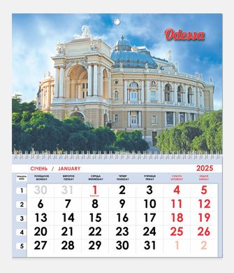 Календарь настенный 2025 Контраст односекционный (ассорти)