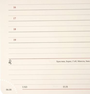 Щоденник 2026 А5 Leo Planner Binario м'який 25264*, Графит