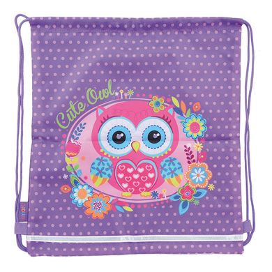 Сумка для обуви 1 Вересня Yes 556071 Little Owl SB-01 35*40см