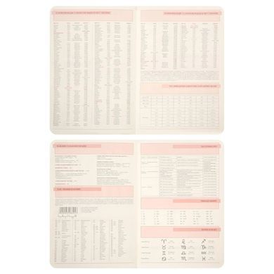 Щоденник 2026 А5 Leo Planner Binario м'який 25264*, Графит