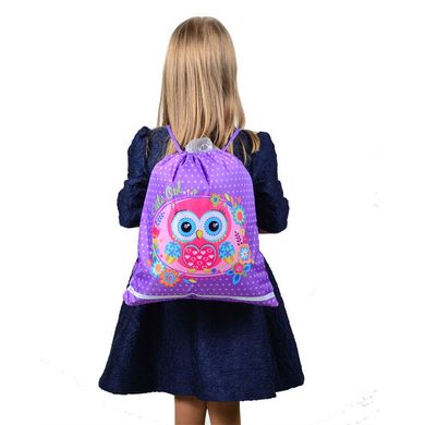 Сумка для обуви 1 Вересня Yes 556071 Little Owl SB-01 35*40см