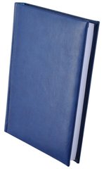 Щоденник А5 BUROMAX недатований Expert Синій BM.2004-02