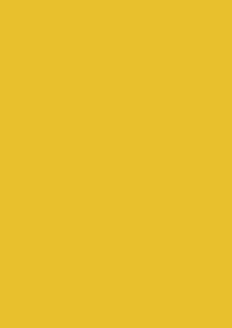 Обкладинка А4 картон глянц CHROMO 1 аркуш 5378*, Жовтий