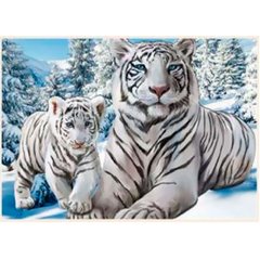 Картина раскраска по номерам на холсте 20*30см Josef Otten ОРР 20556JS_O Белые тигры