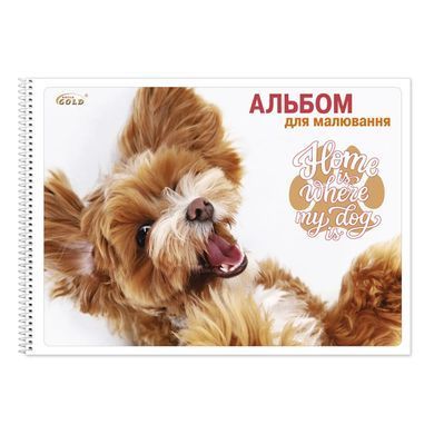 Альбом для малювання А4 30арк Бриск 120г/м2 Gold спіраль САВ-20