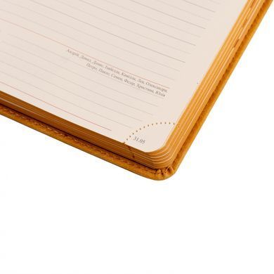 Ежедневник 2024 Leo Planner А5 Case 25242*, Горчичный