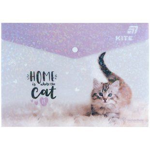 Папка А4 Kite пластик на кнопке Rachael Hale R25-244