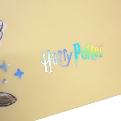 Папка А5 Kite пластик на кнопці Harry Potter HP25-245