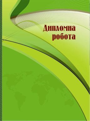 Дипломный проект А4 100л Фолдер 00385