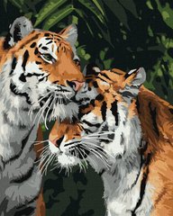 Картина по номер. на холсті 40*50см Идейка КН4301 Тигрове кохання