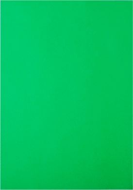 Бумага цветная для принтера А4 80г/м 20л. Buromax Насыщенная BM.2721320, Зелёный