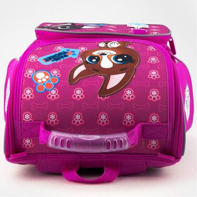 Ранець каркасний KITE мод 501 Littlest Pet Shop PS19-501S