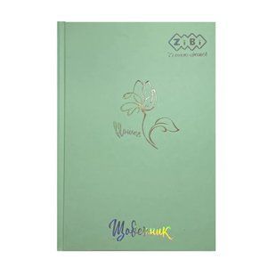 Школьный дневник ZiBi В5 (17,6*25см) мятный ZB.13761-38