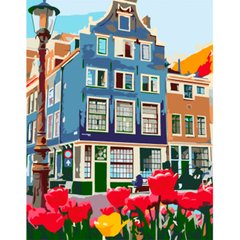 Картина раскраска по номерам на холсте - 35*45см Rosa Premium N00013243 Знаменитый Амстердам