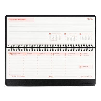 Планинг 2027 Leo Planner 30*14см Persona PER2527**, Бордо
