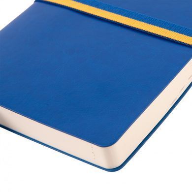 Ежедневник 2025 12*20см Leo Planner Identico 25251*, Синий